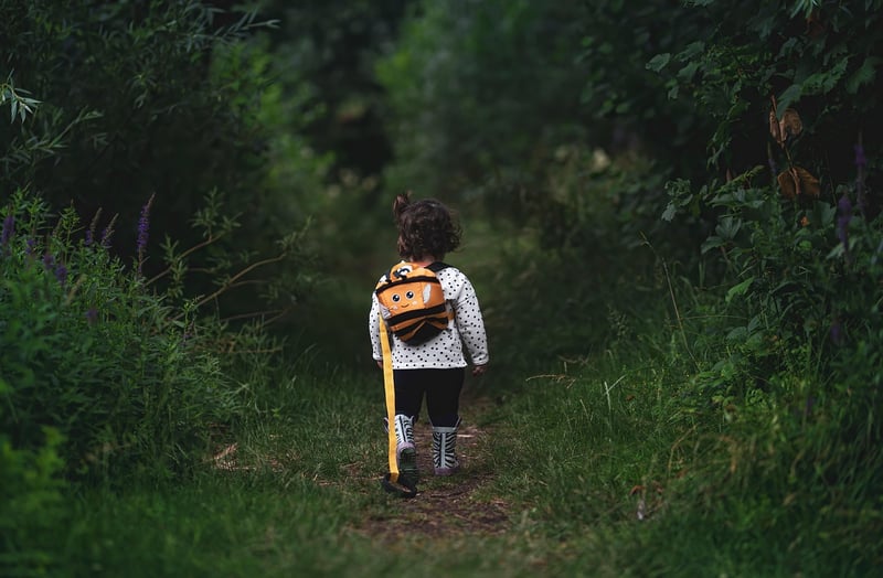 Meditative Walking in Nature